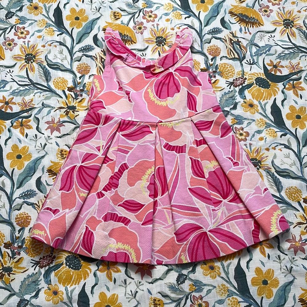 Janie &Jack dress